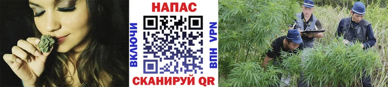 Где купить Приволжский Марихуана Гашиш