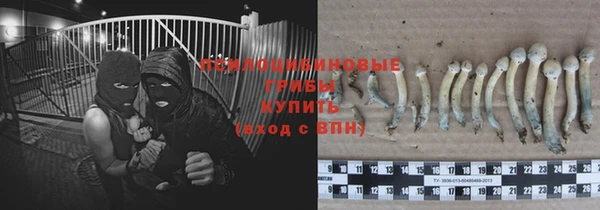 марки lsd Гусиноозёрск