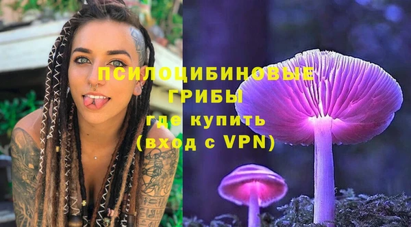 экстази Гусев