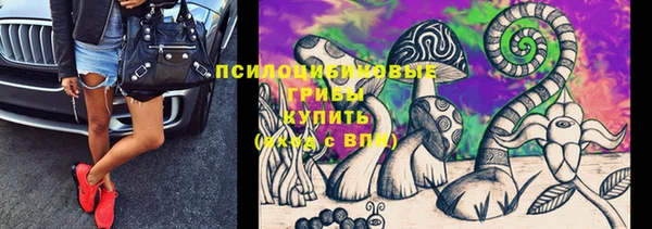 2c-b Сясьстрой