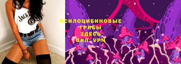альфа пвп Гусь-Хрустальный