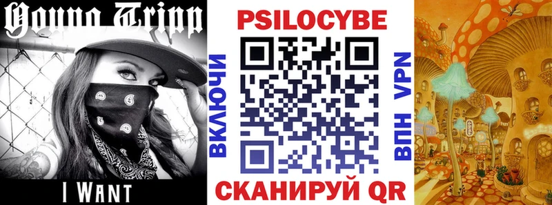 Галлюциногенные грибы Psilocybe  Приволжский 